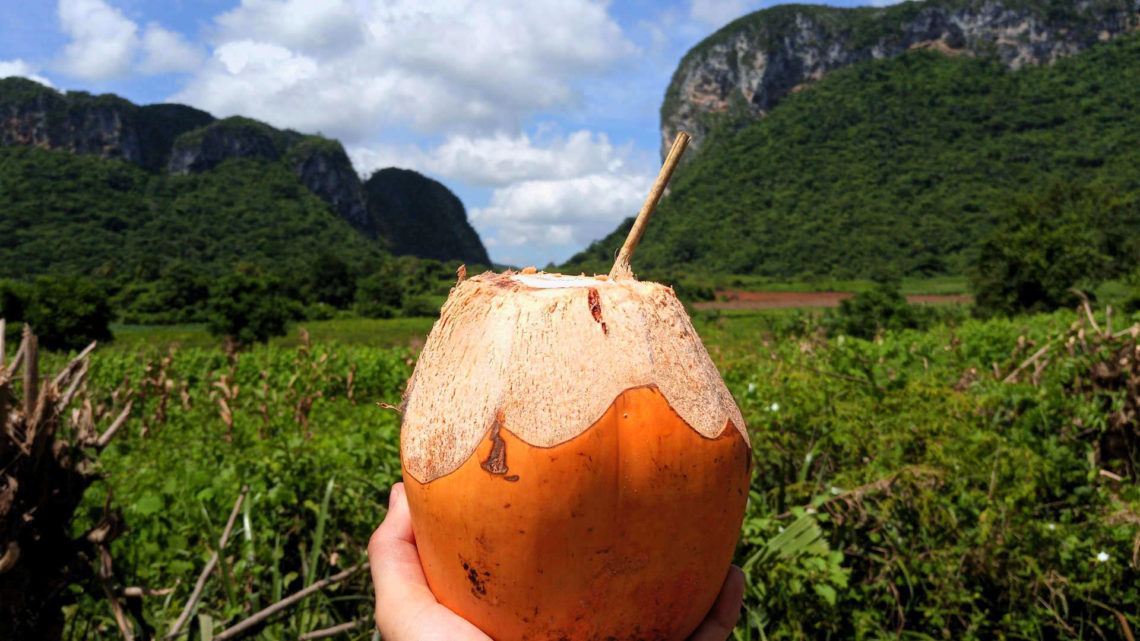 Bevendo latte di cocco a Vinales