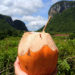 Bevendo latte di cocco a Vinales